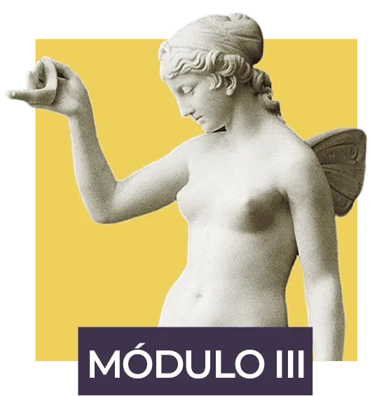 Módulo III: A imagem, o corpo e o limite