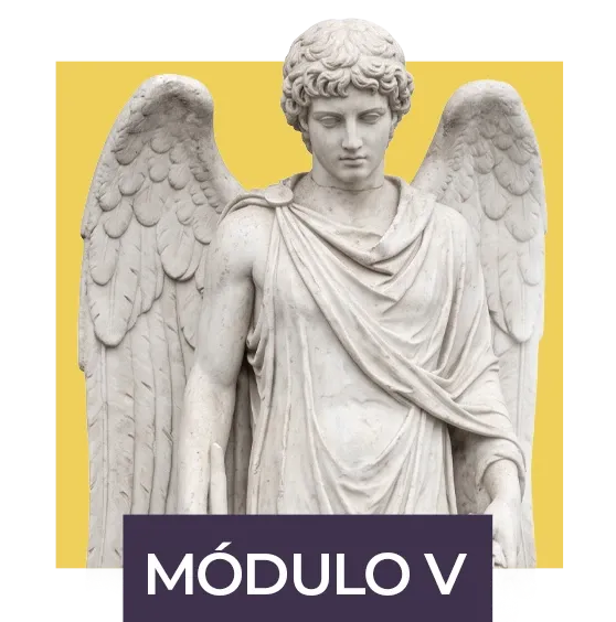 Módulo V: A vida, o desejo e a morte